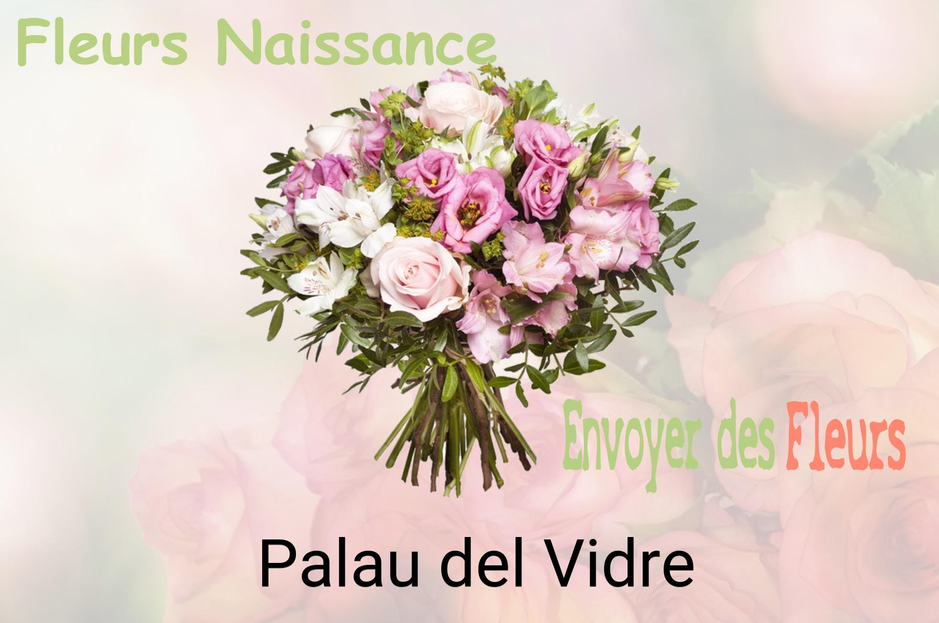 Bouquet de fleurs de naissance livré à Palau-del-Vidre